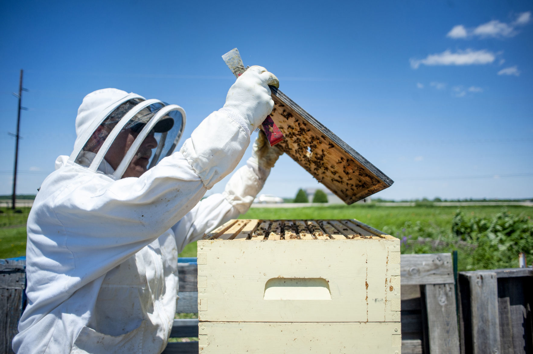 190419_BEES01